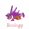 Ecology