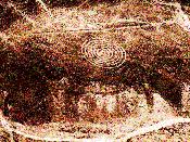 Líneas de Agua de Nazca