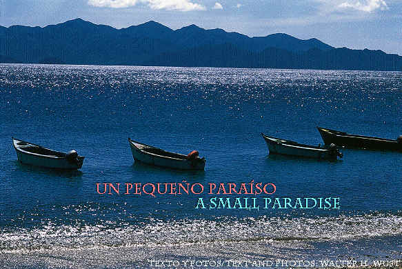 Un pequeño paraíso/A Small Paradise 0 Texto y fotos/Text and Photos: Walter Wust