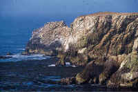 Punta San Juan, aalbergue natural que merece toda nuestra atención.