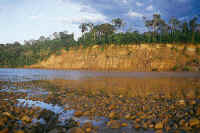 Cálido amancer en el rio Tambopta donde se concentran gran cantidad de especíes de maríposas  © Mylene D'Auriol