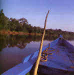 En el río Tambopata, camino al Tambopata Research Center (TRC). © Mylene D'Auriol